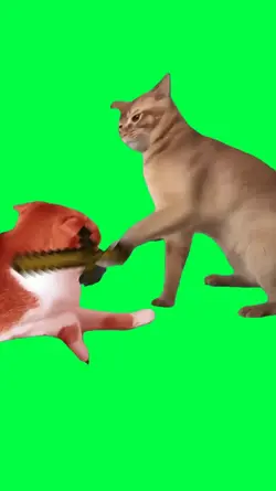 MINECRAFT CAT FIGHT