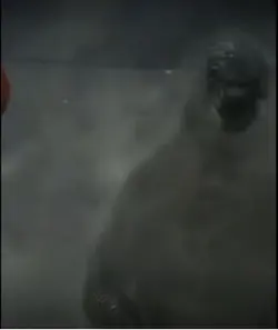 godzilla edit