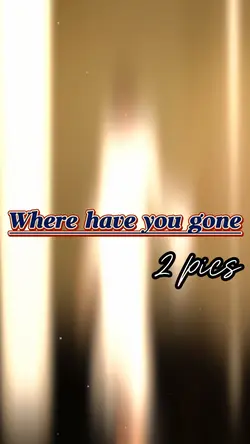 Where have you gone