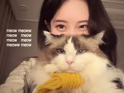 meow miaw 