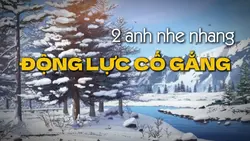 Động lực ảnh ngang