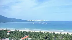 summer diaries