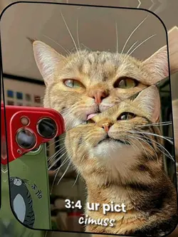 Ku merasakan apa