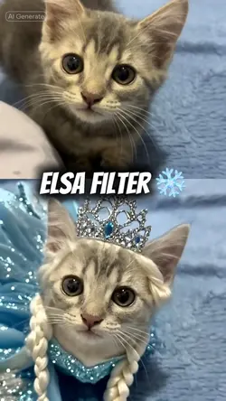 Elsa filter AI