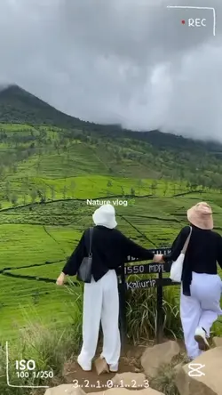 Walks in ricefield