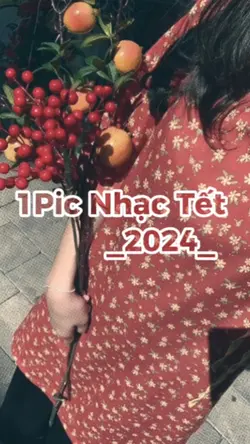 1pic