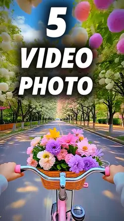 5 clip or photo 