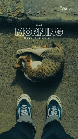 Good Morning 