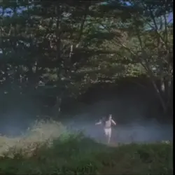 Jurassic Park lll