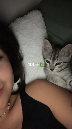 animalzinho 🤍