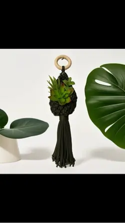 Natura a casa 