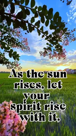 have a blessed day