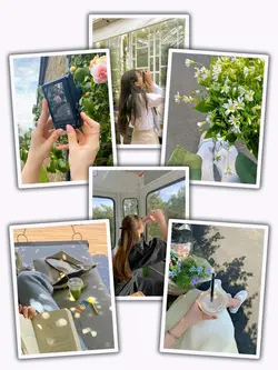 14Pic Clip Aesthetic
