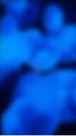 動画一枚