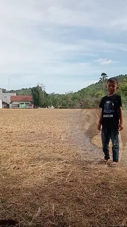 Video ada singa