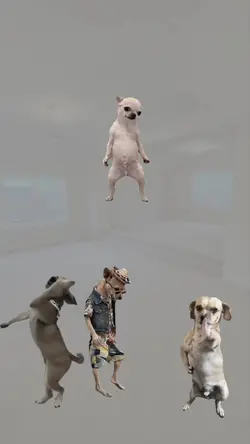trend dog dancing
