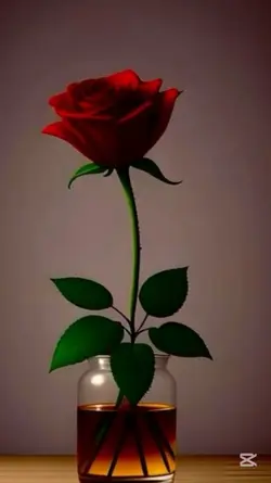 پښتو نوي نظم 