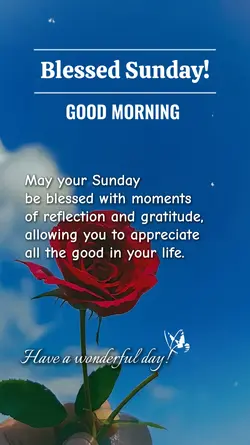 Blessed Sunday 