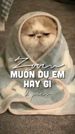 2h khuya rồi sao anh