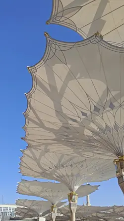 qolbi fil madina