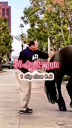 Trend ngựa đá