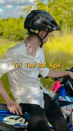 TỤI TAO BÁT NGÁT
