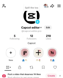 TikTok view profile 