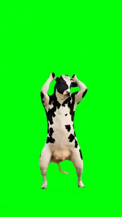 DANCING COW