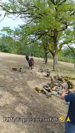 Ta pote crée un GIF 