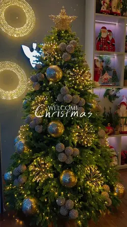 Welcome Christmas