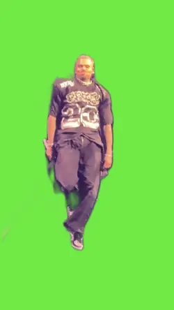 Chris brown meme 