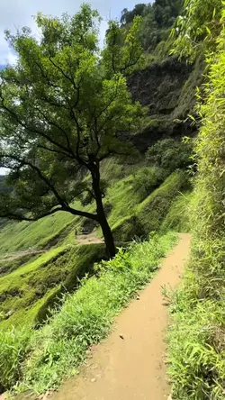 the view is sounds 