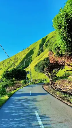 7 clips filter hd