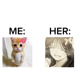Real