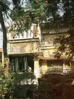 Ở TRONG KHU RỪNG