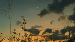 Night vibes🌕
