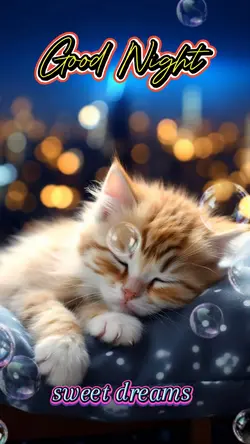 Good Night