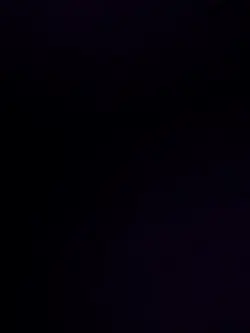 rajubhai template 