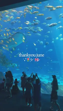 thankyou june 