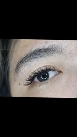 Wetlook Lashes
