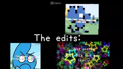 the editor 