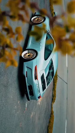 PORSCHE | 🌊🌪️