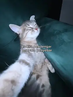 fotolive kata kata