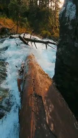 Adventure 