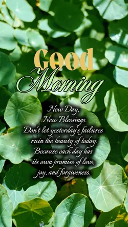 Good Morning 