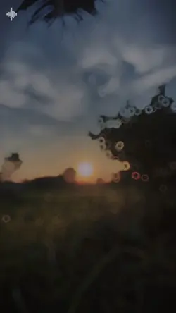 Senja 