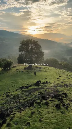 life hurts, nature