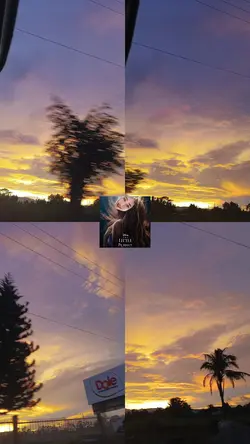 Jiafei Aesthetic 