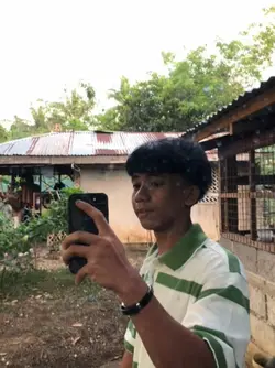 livephoto