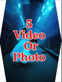 5 video or photo 